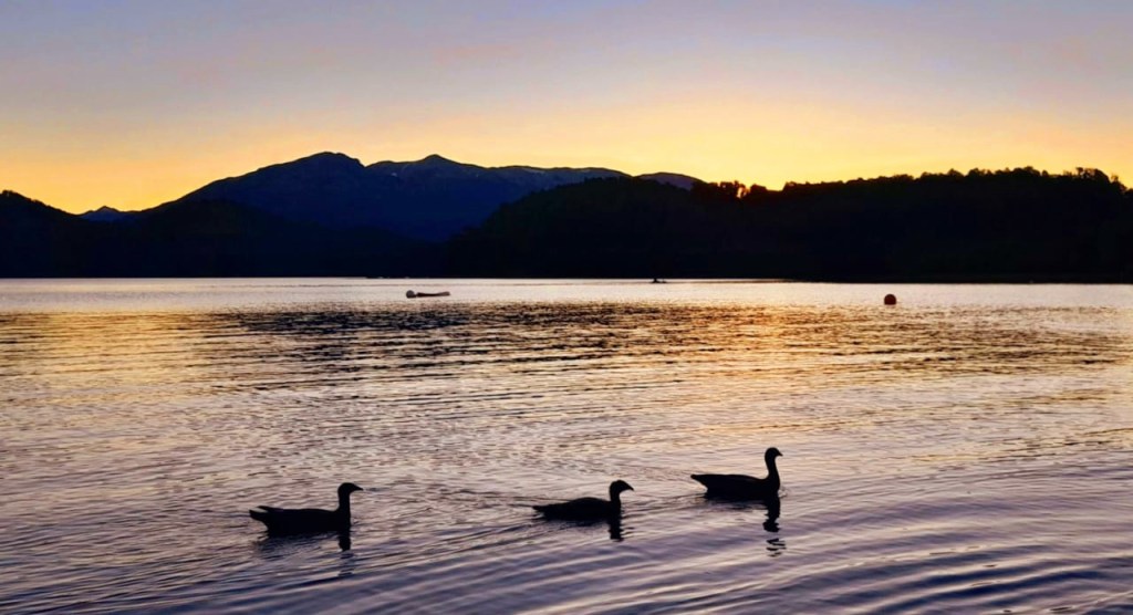 Siluetas de patos nadando en un lago al atardecer, con montañas al fondo y un cielo de tonos anaranjados y morados.